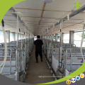 Certified Pig Farming Equipment High Quality Livestock Galvanized Pig Pen